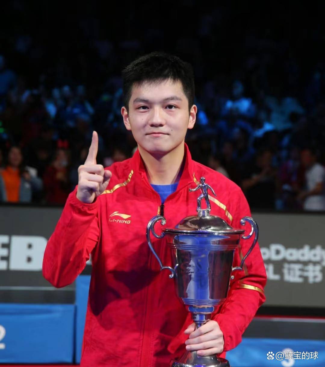 奥地利队力克瑞典队，樊振东点燃赛场